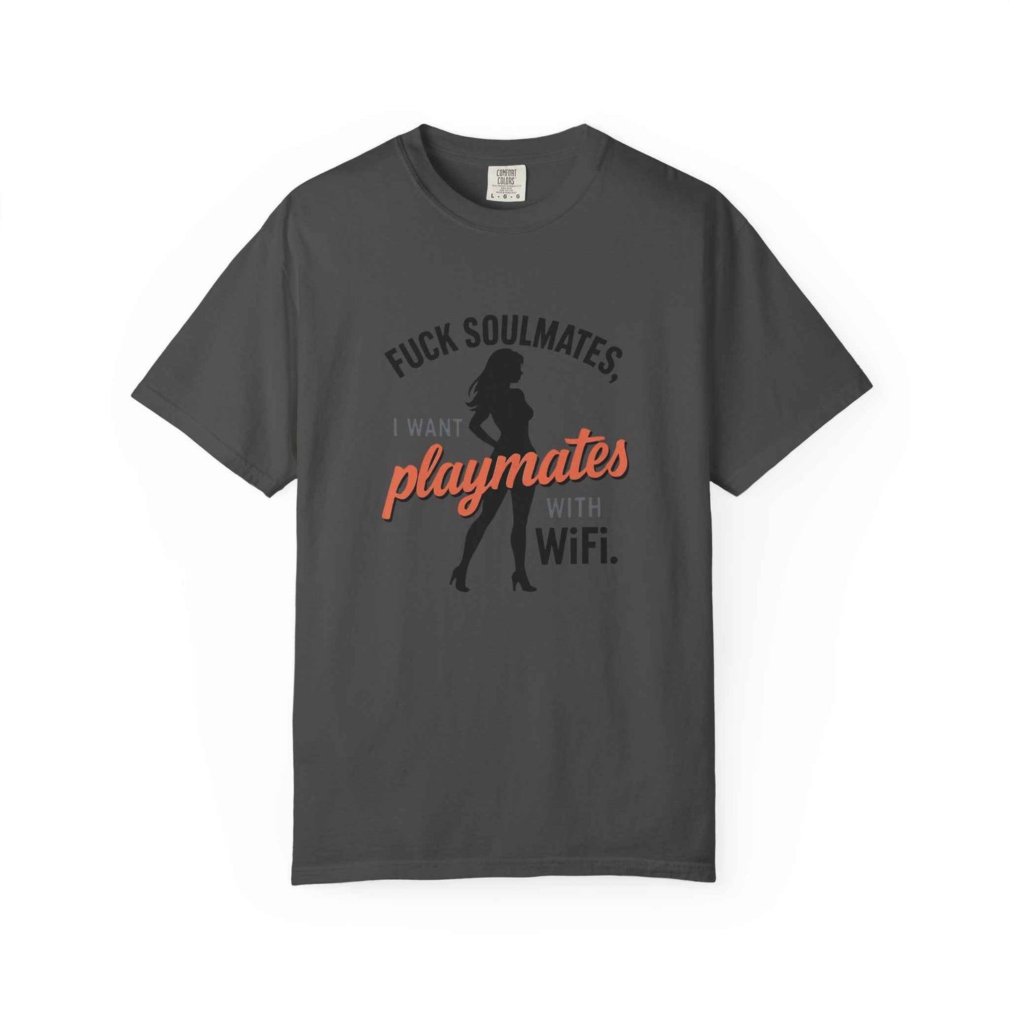 Playmates With WiFi T-Shirt — Funny Graphic Tee with 'Fuck Soulmates, I Want Playmates With WiFi'
