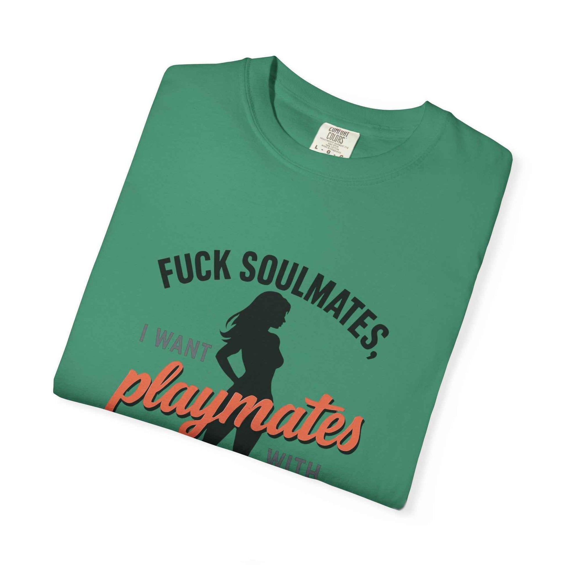 Playmates With WiFi T-Shirt — Funny Graphic Tee with 'Fuck Soulmates, I Want Playmates With WiFi'