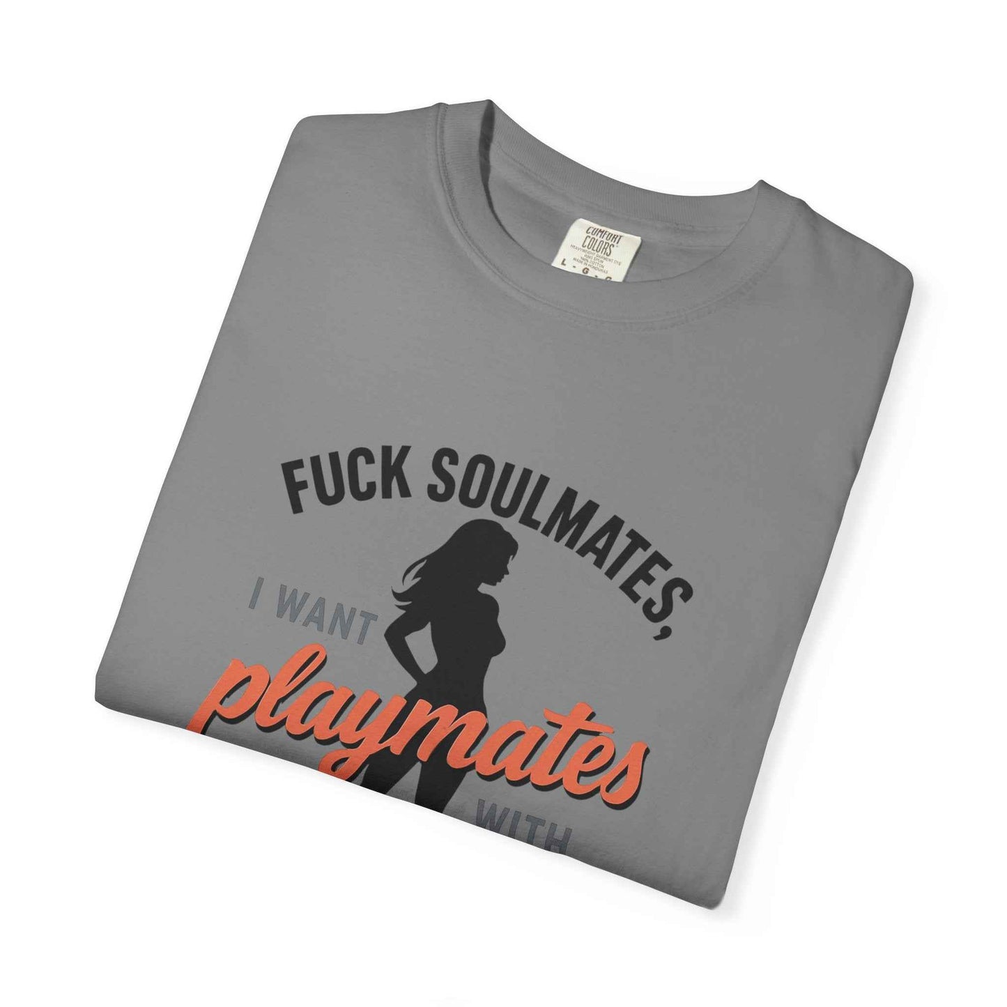 Playmates With WiFi T-Shirt — Funny Graphic Tee with 'Fuck Soulmates, I Want Playmates With WiFi'