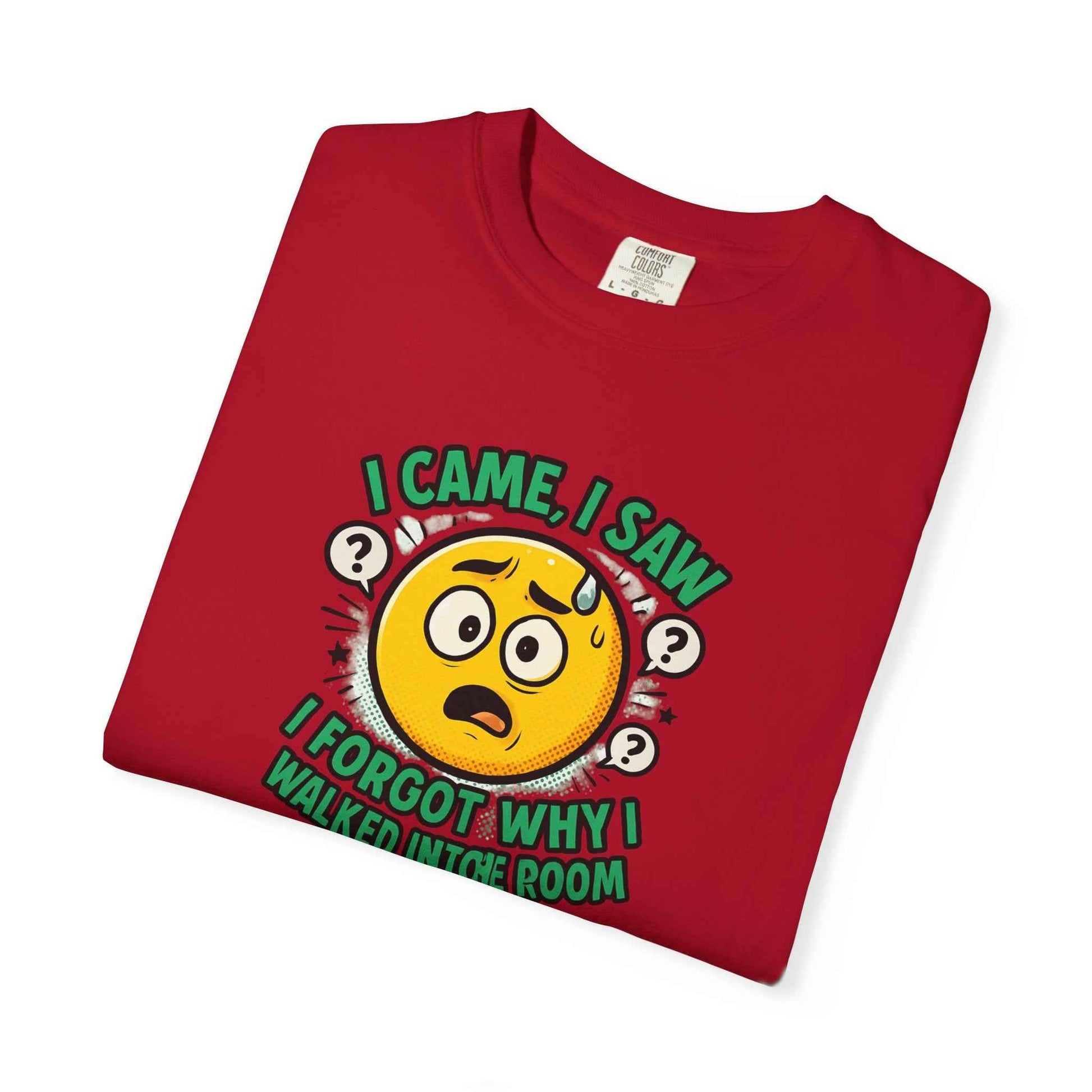 Funny Graphic T-Shirt — "I Came, I Saw, I Forgot Why I Walked Into Room" Emoji Tee