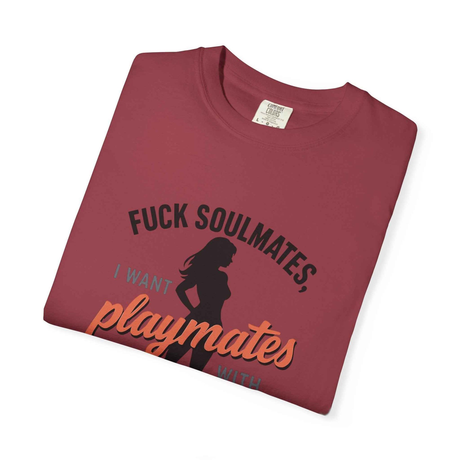 Playmates With WiFi T-Shirt — Funny Graphic Tee with 'Fuck Soulmates, I Want Playmates With WiFi'