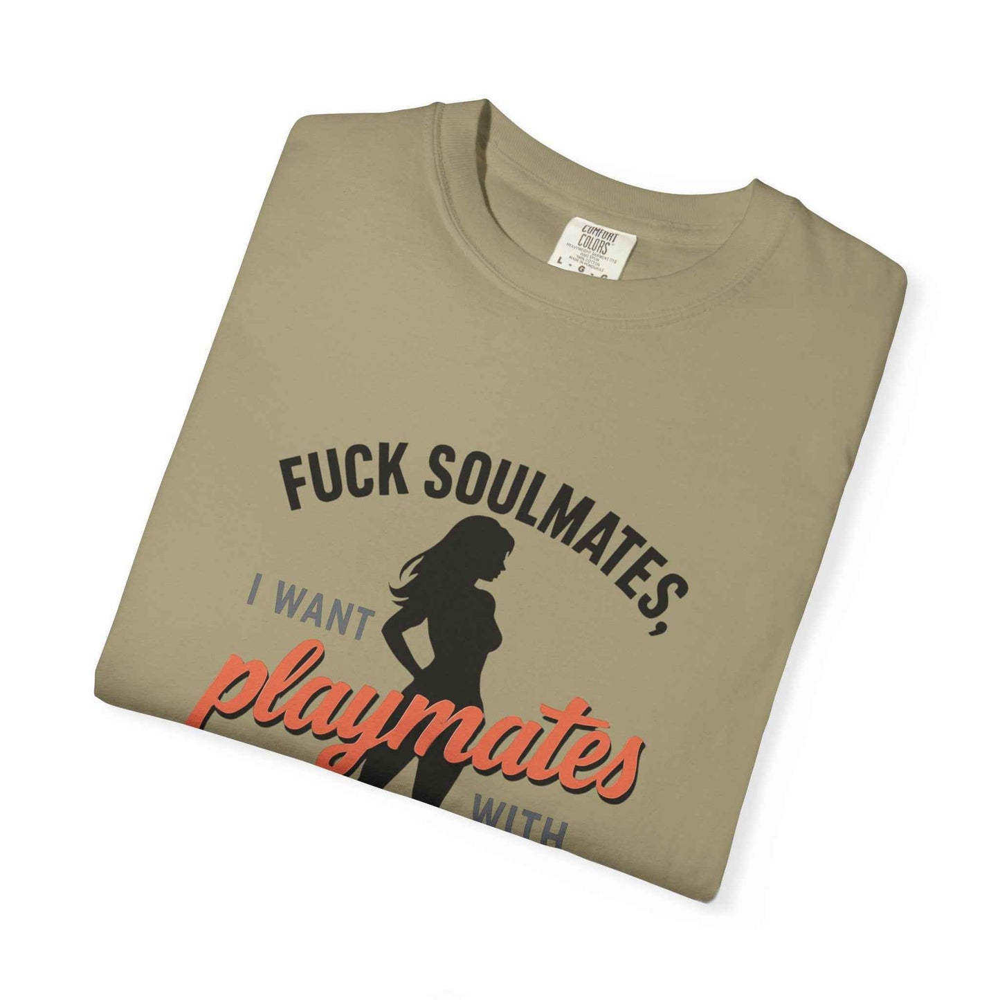 Playmates With WiFi T-Shirt — Funny Graphic Tee with 'Fuck Soulmates, I Want Playmates With WiFi'