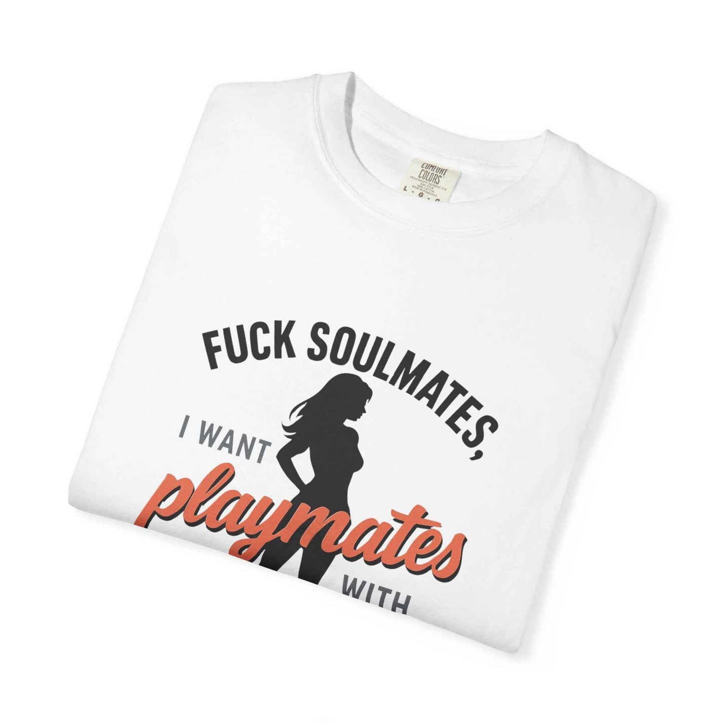Playmates With WiFi T-Shirt — Funny Graphic Tee with 'Fuck Soulmates, I Want Playmates With WiFi'