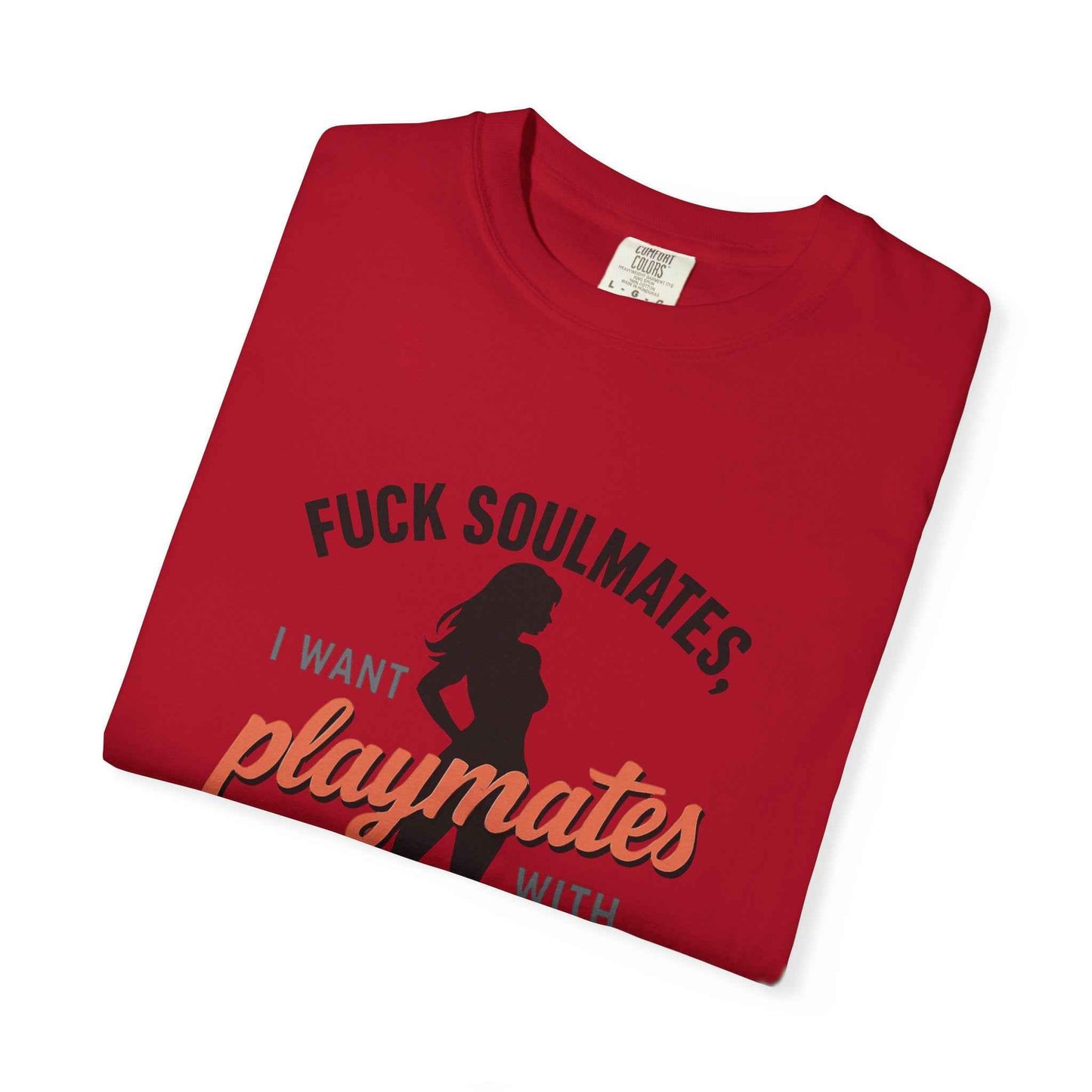 Playmates With WiFi T-Shirt — Funny Graphic Tee with 'Fuck Soulmates, I Want Playmates With WiFi'