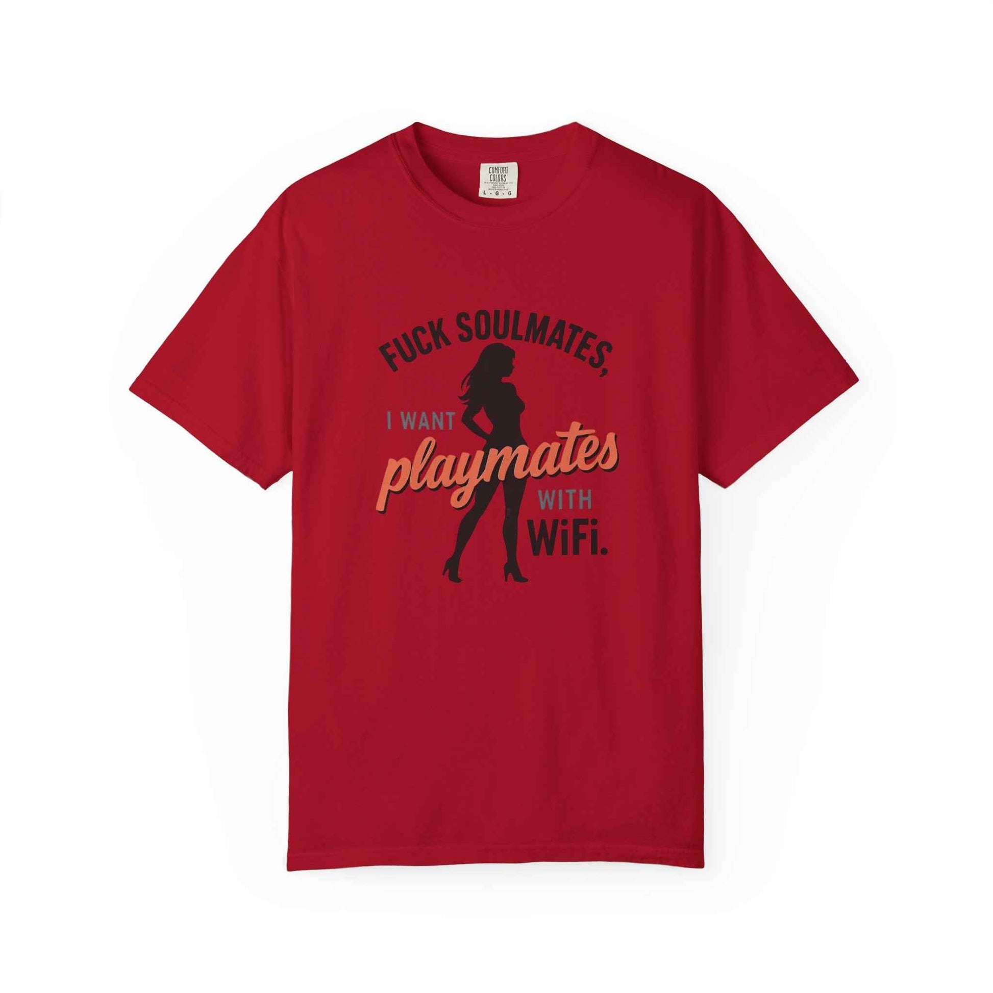 Playmates With WiFi T-Shirt — Funny Graphic Tee with 'Fuck Soulmates, I Want Playmates With WiFi'