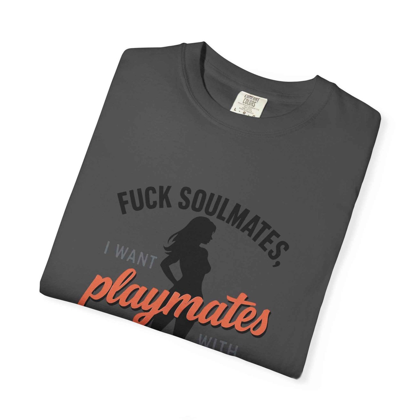 Playmates With WiFi T-Shirt — Funny Graphic Tee with 'Fuck Soulmates, I Want Playmates With WiFi'